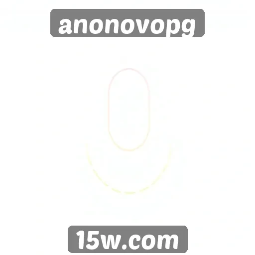 Acessibilidade e recursos do site anonovopg